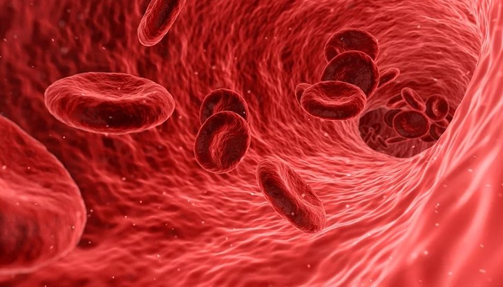 Университет в Източна Турция започна да използва кръвна плазма за пасивна имунизация на пациенти, заразени с новия коронавирус