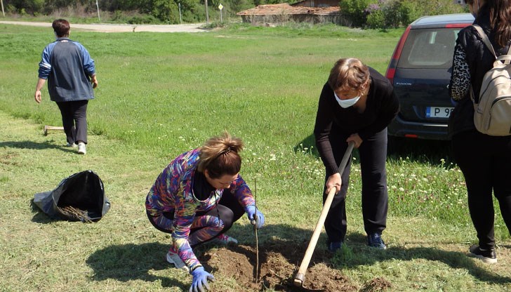 Дръвчетата ще се разлистят на две места в Ценово