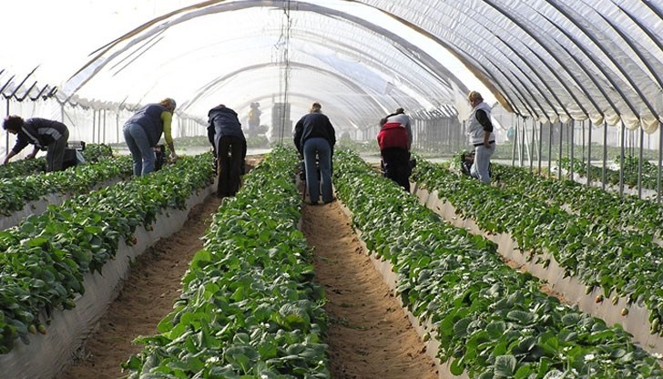 Подлагат себе си и близките си на риск, заяви съветник на Екатерина Захариева Подлагат себе си и близките си на риск, заяви съветник на Екатерина Захариева
