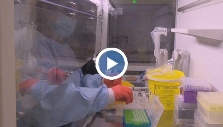 Правят PCR тестове или молекулярна диагностика на коронавируса