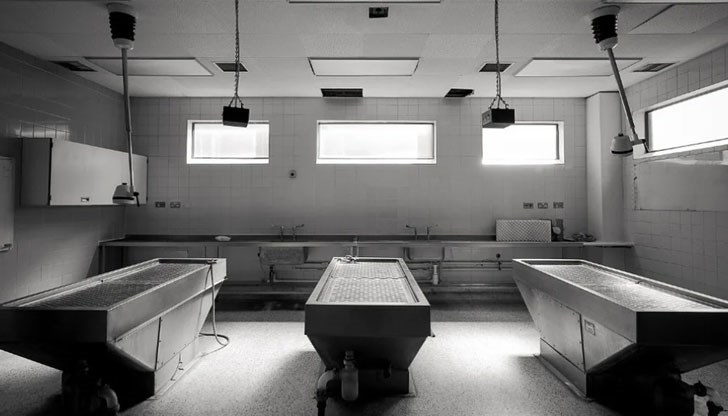 Ето какво показват резултатите от изследвания, проведени от патолози в Швейцария и Германия Ето какво показват резултатите от изследвания, проведени от патолози в Швейцария и Германия