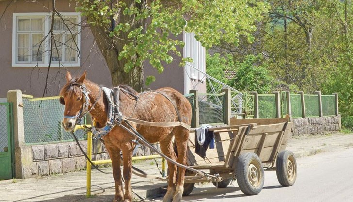 Две жени пострадаха при инцидента / снимката е илюстративна / Две жени пострадаха при инцидента / снимката е илюстративна /