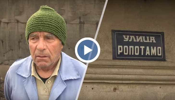 Само в двора, чистиха