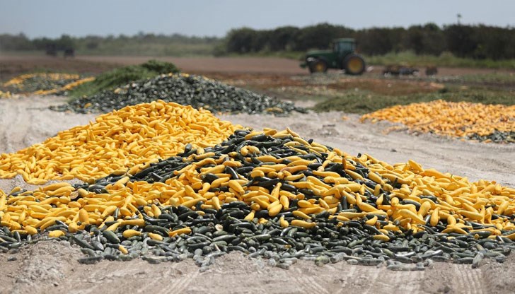 Причините са липса на работна ръка и прекъснати снабдителни вериги