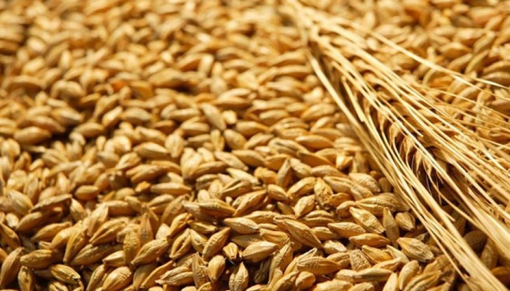 Временната забрана е вдигната