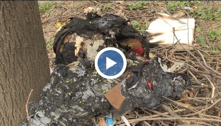 Съседите му живеят в страх