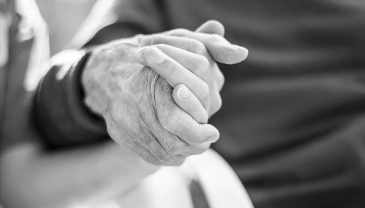 Кой внесе заразата Кой внесе заразата