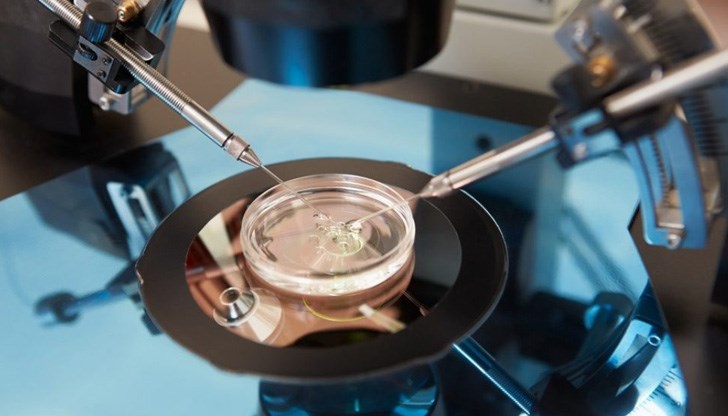 Това съобщи премиерът Бойко Борисов на брифинг в Южния парк Това съобщи премиерът Бойко Борисов на брифинг в Южния парк