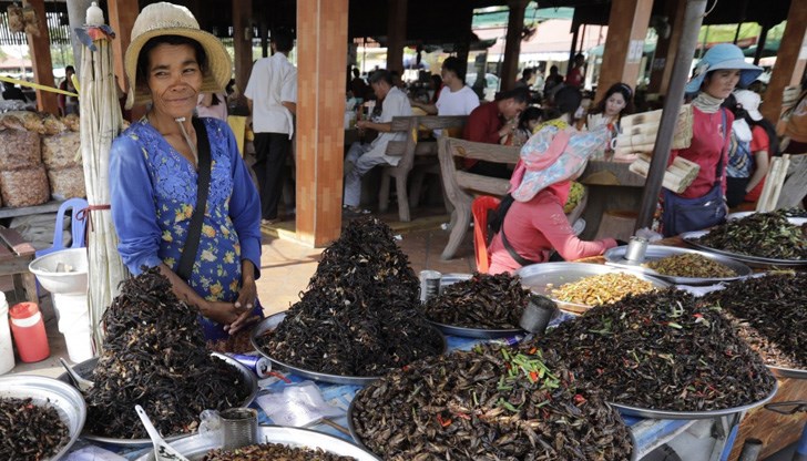 Насекомите може да станат храната на бъдещето