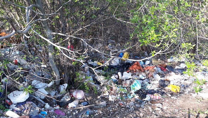 До кога трябва да търпим подобни мизерно живеещи хора?