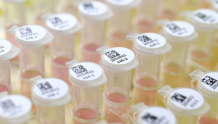 66 нови случая за последното денонощие