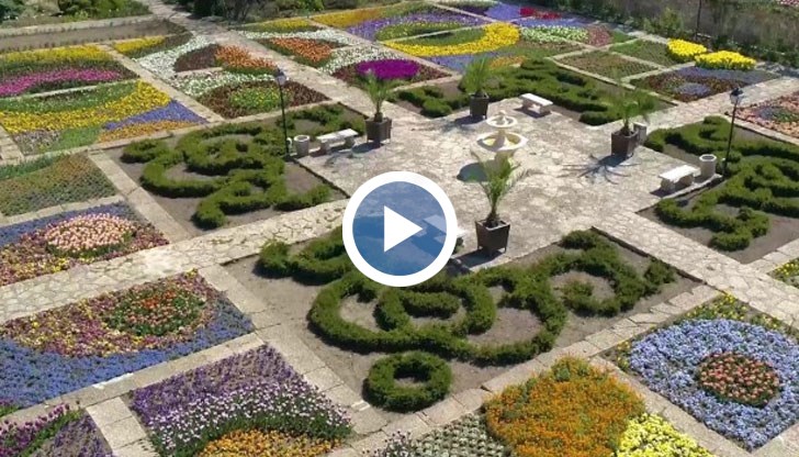  Насладете се на приказната приказност от цветове 