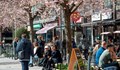 Шведската стратегия срещу коронавируса скоро ще стане световна