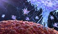 Учени са открили антитела, които блокират коронавируса