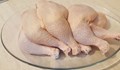 БАБХ спря още близо 20 тона полско птиче месо със салмонела