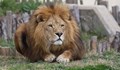 Съмнителна фирма ще ремонтира софийския Зоопарк