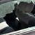 Кражба от автомобил, паркиран в центъра на Русе