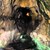 Кости в пещера "Бачо Киро" доказват, че Хомо сапиенс е пристигнал в Европа няколко хилядолетия по-рано