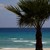 Днес Кипър открива плажния сезон