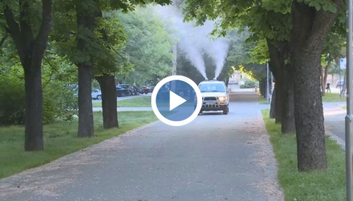 Всяка година пролет и есен дърветата се пръскат, за да се запазят, обясни Василена Николова, началник на Отдел „Екология“ в Община Русе