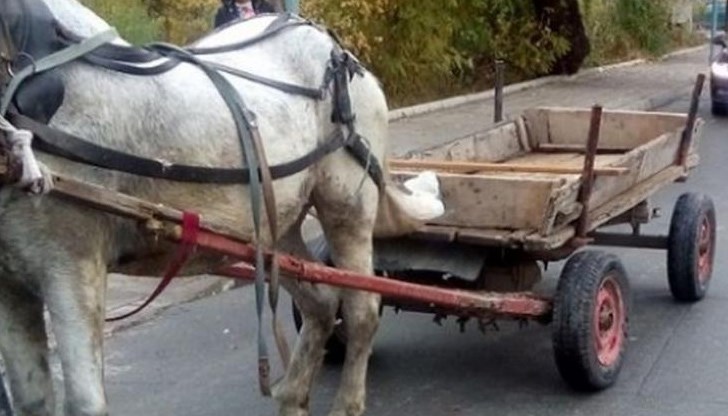 Тялото на мъжа е откарано за аутопсия в отделение „Съдебна медицина” при УМБАЛ – Бургас