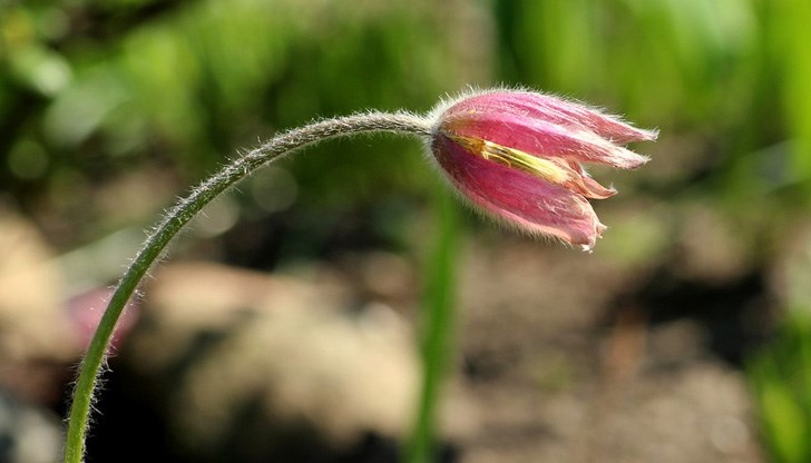 На места ще има силни гръмотевични бури На места ще има силни гръмотевични бури