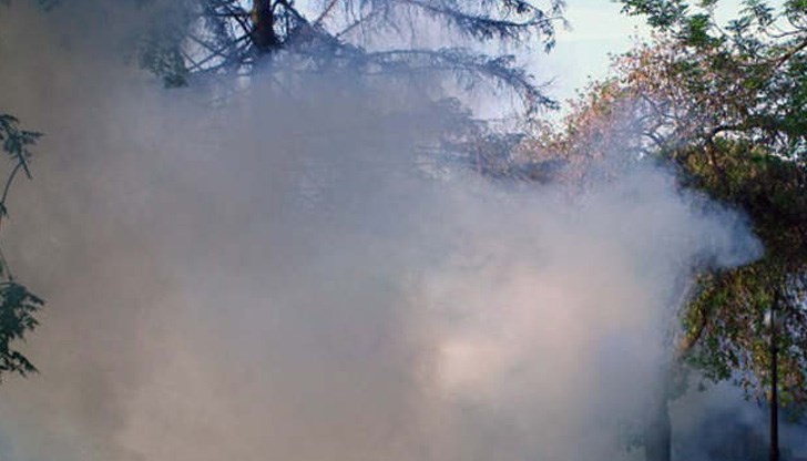 Това би трябвало да доведе до по-голям ефект в борбата с насекомите