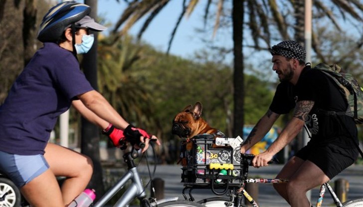 Това става след 48 дни карантина Това става след 48 дни карантина