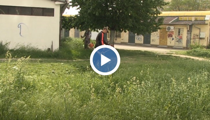 Тревата в Русе се коси постоянно, третирането против кърлежи беше вече три пъти, обясни кметът на Община Русе