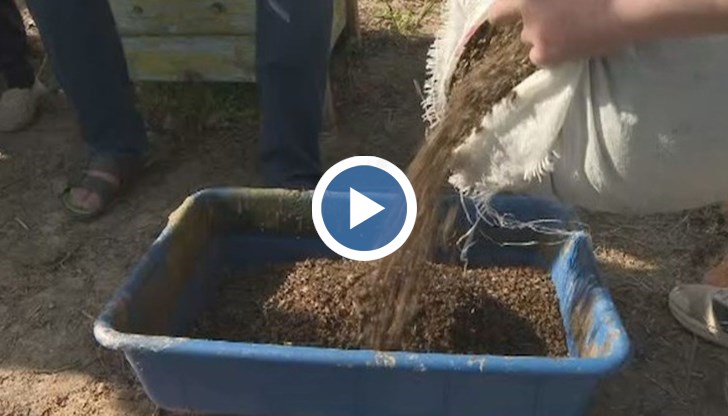 Стопаните носят със себе си буквално чували с умрели пчели, за да покажат мащаба на катастрофата