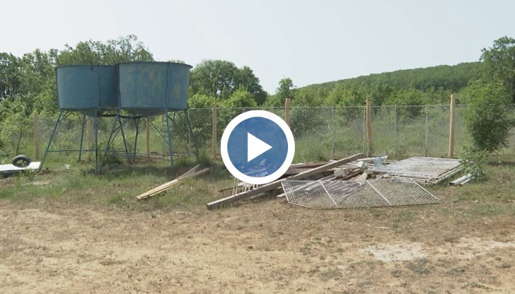 Правят къмпинг в защитената зона