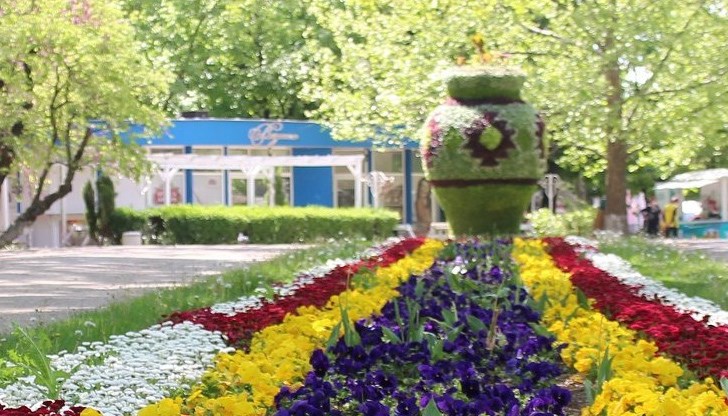 Любимата ни Ваза е с чипровска премяна