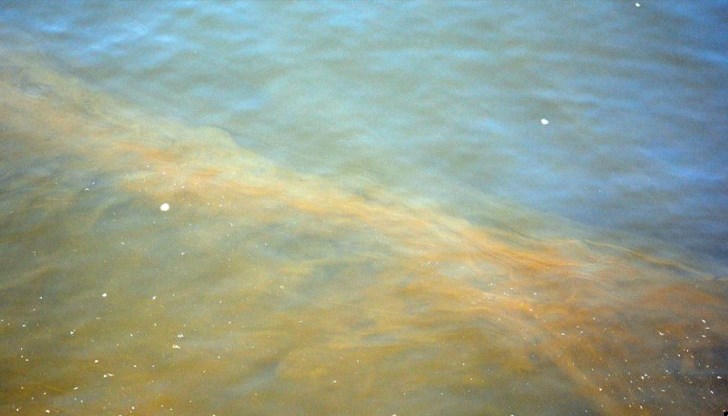 Кафяво е морето във Варна