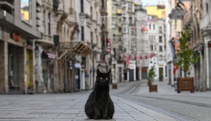 Срокът й ще бъде до полунощ във вторник Срокът й ще бъде до полунощ във вторник