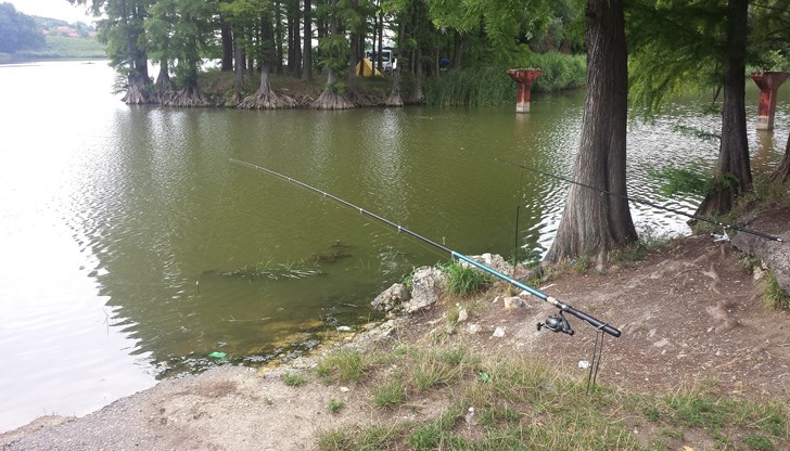 Въвеждат се промени в посещението на крайградските паркове Въвеждат се промени в посещението на крайградските паркове