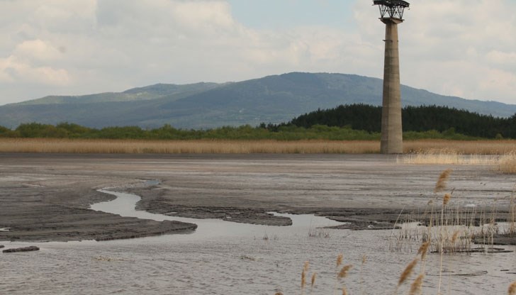 Става въпрос за много дълбоки проблеми, за чието решение институциите не показват желание, коментираха от "Грийнпийс България" Става въпрос за много дълбоки проблеми, за чието решение институциите не показват желание, коментираха от "Грийнпийс България"