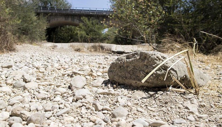 Ситуацията принуди правителството в Букурещ да забрани износа на зърно за пазари извън ЕС Ситуацията принуди правителството в Букурещ да забрани износа на зърно за пазари извън ЕС