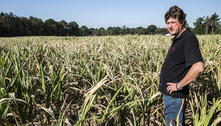 Сезонните работни места в селското стопанство, заявени чрез бюрата по трупа през пролетта на 2020 г., са 3112 Сезонните работни места в селското стопанство, заявени чрез бюрата по трупа през пролетта на 2020 г., са 3112