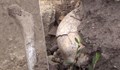 Човешки останки стърчат от изкоп край Мъглиж