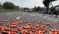 Търговци на зеленчуци с нов протест срещу наредба на БАБХ