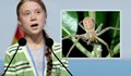 Кръстиха паяк на Грета Тунберг