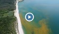 Водата на един от най-красивите плажове край Варна пожълтя