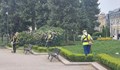 12 декара терени са окосили и почистили служители на "Паркстрой" в Русе