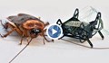 Учени направиха робот-хлебарка