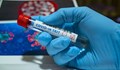 Масовото тестване в Пловдив не откри коронавирус