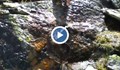 Феномен в Рила: Спасители откриха камък, от който блика вода