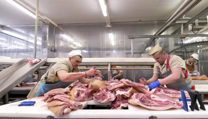 Българите са най-евтината работна ръка в немските кланици за месо