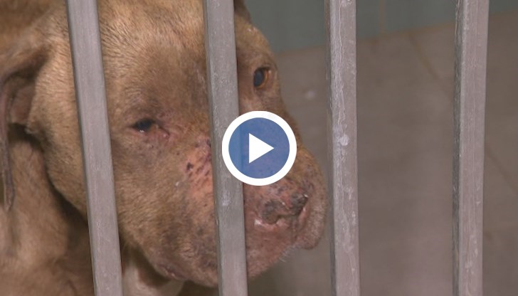 Двама мъже са задържани за 24 часа