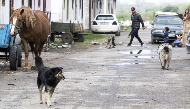 Освен травмата на черепа, каруцарят е с пневмоторакс, вследствие на удара от ремаркето Освен травмата на черепа, каруцарят е с пневмоторакс, вследствие на удара от ремаркето