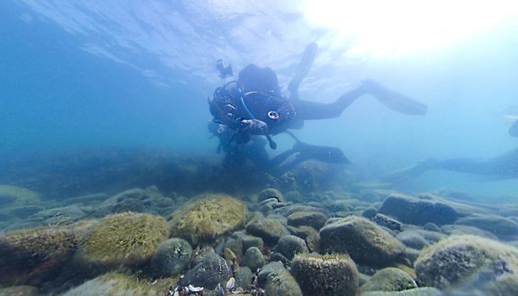 Често ни се струва, че водата е замърсена, а всъщност тя е наситена с микроскопични организми Често ни се струва, че водата е замърсена, а всъщност тя е наситена с микроскопични организми
